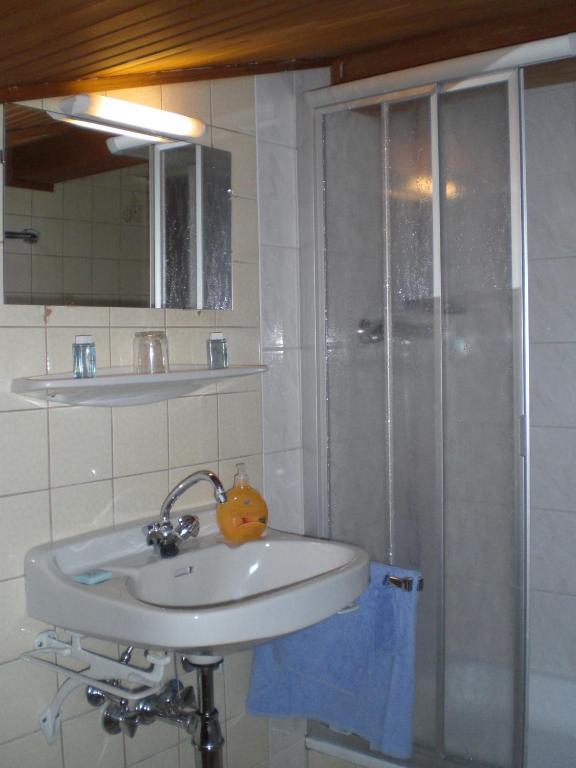 Apartment Haus Am See *