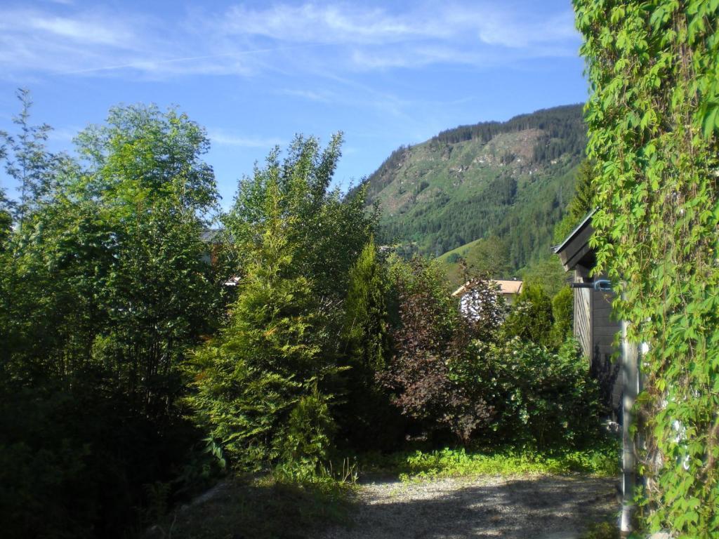 Haus Am See Zell am See